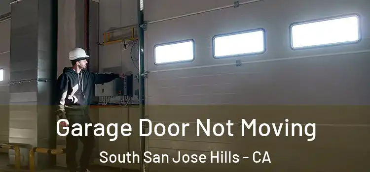  Garage Door Not Moving South San Jose Hills - CA