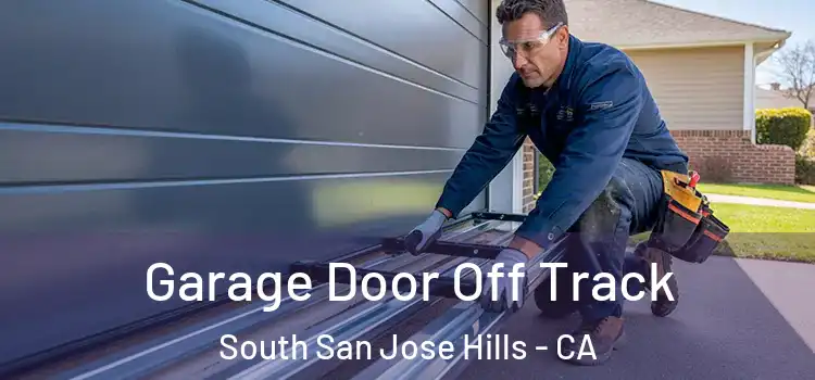  Garage Door Off Track South San Jose Hills - CA
