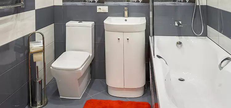 Hansgrohe Shaving Mirror South San Jose Hills