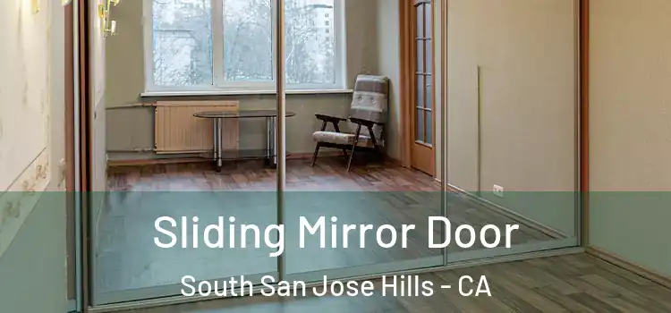  Sliding Mirror Door South San Jose Hills - CA